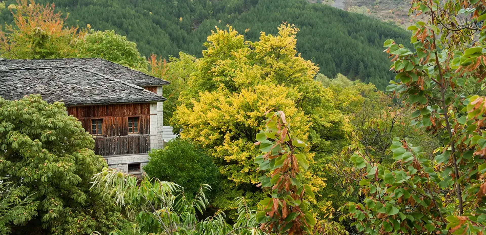Katogi Averoff Nature
